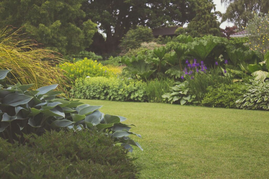 Garten Grundstück Pflanzen Welcher Bodendecker breitet sich am schnellsten aus