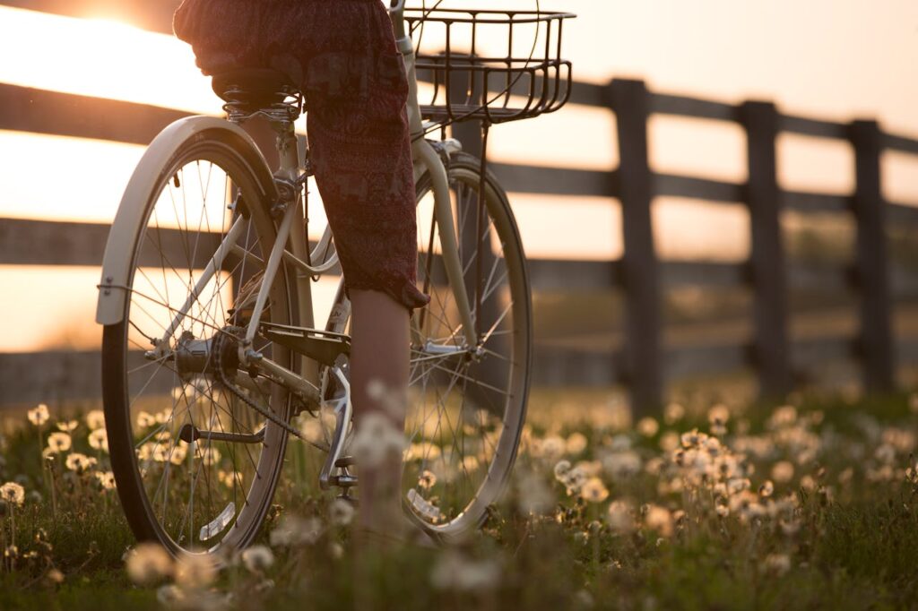 Fahrrad Sonne Natur Fahrradtour durch Münster – Schöne Orte zur Rast